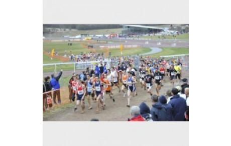 50e cross national des pompiers à Mauquenchy